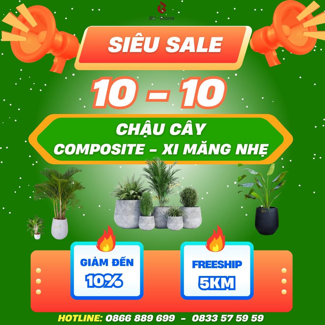 SIÊU SALE 10/10 - Chậu cây Queen Pot