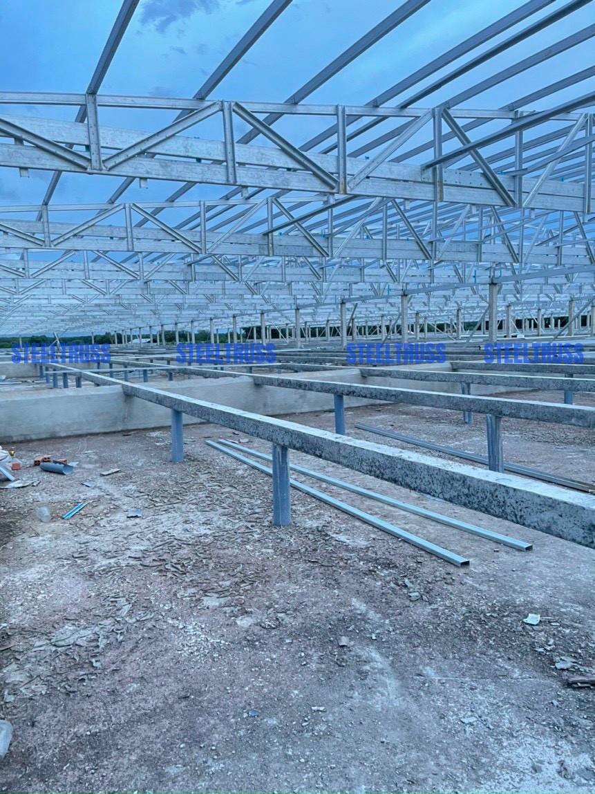 kết cấu khung kèo thép nhẹ Steeltruss cho trại heo