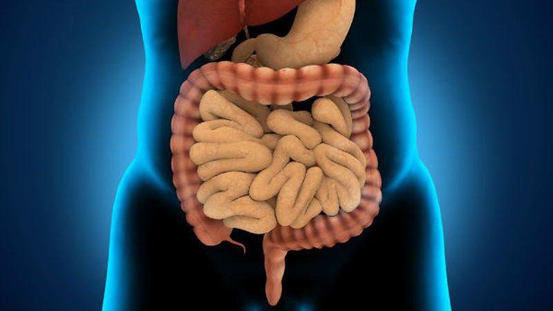 Nhấn vào ảnh để phóng to Zalo