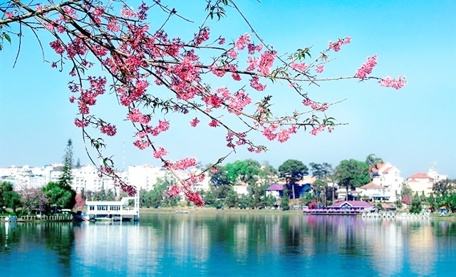 Một góc nhìn từ bờ Hồ Xuân Hương