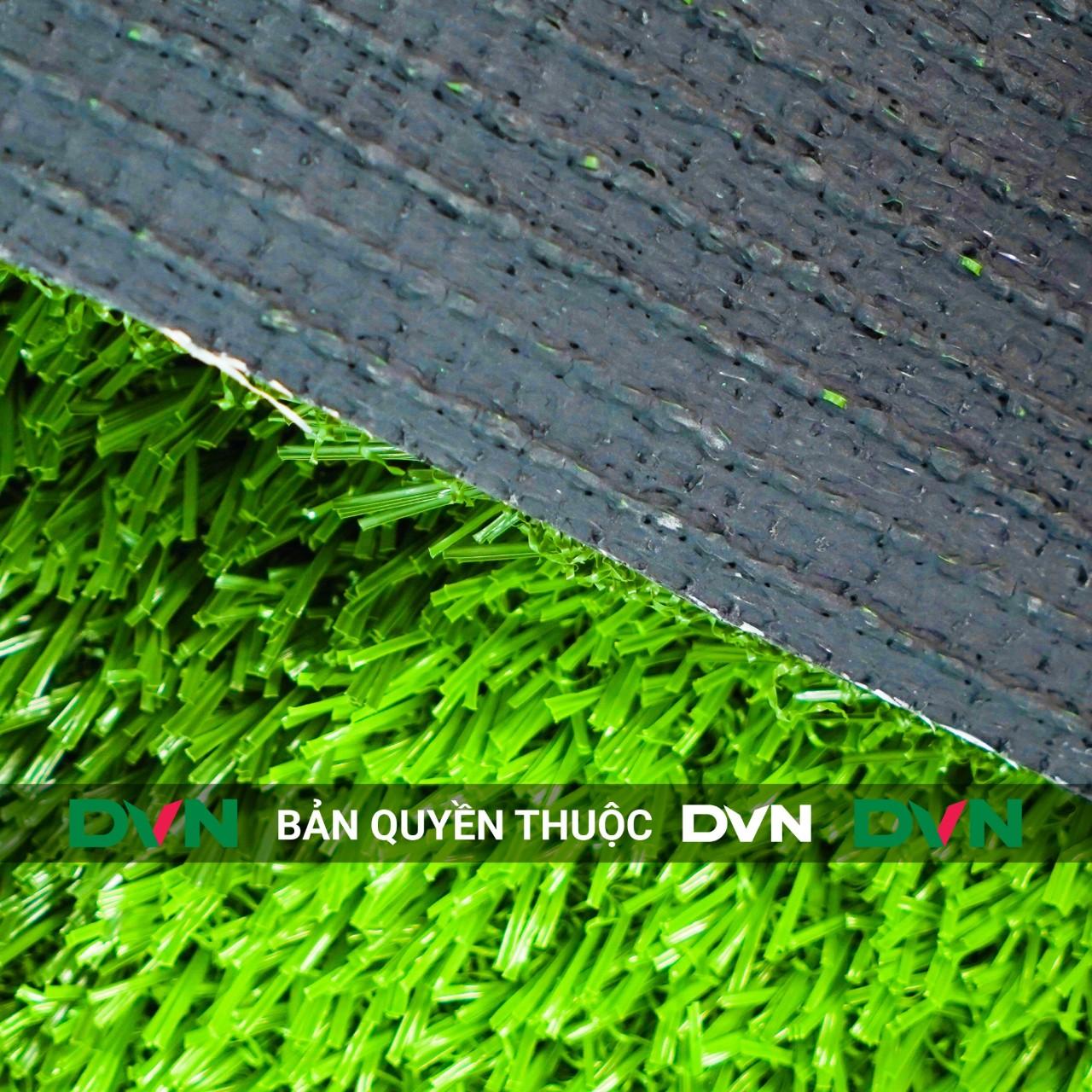 Ưu điểm của dòng cỏ nhân tạo sân bóng sợi xoăn DVN 20S 1