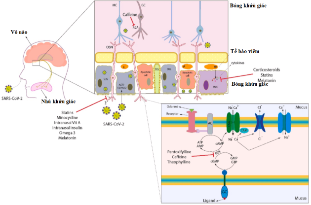 Nhấn vào ảnh để phóng to Zalo