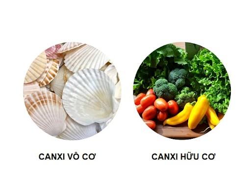 Hình ảnh bài viết