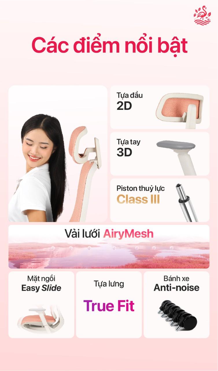 Hình ảnh bài viết