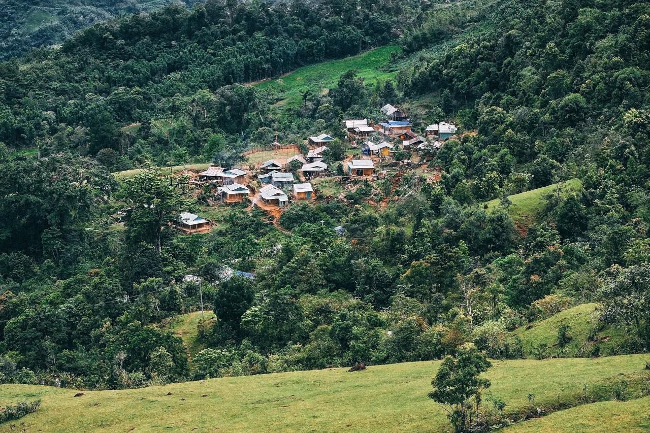 Zalo