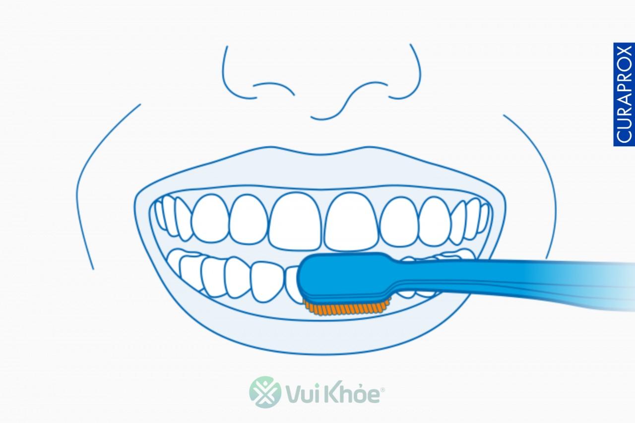 Đánh răng ít nhất hai lần mỗi ngày