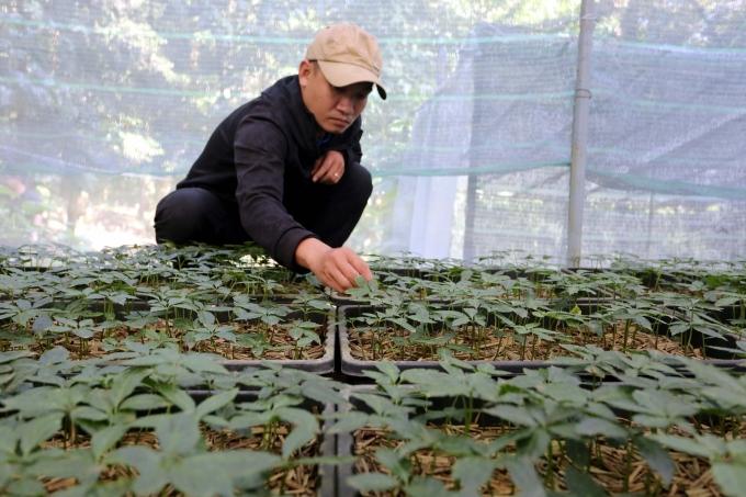 Sản phẩm OCOP Đà Nẵng sẽ được hỗ trợ hàng trăm triệu đồng