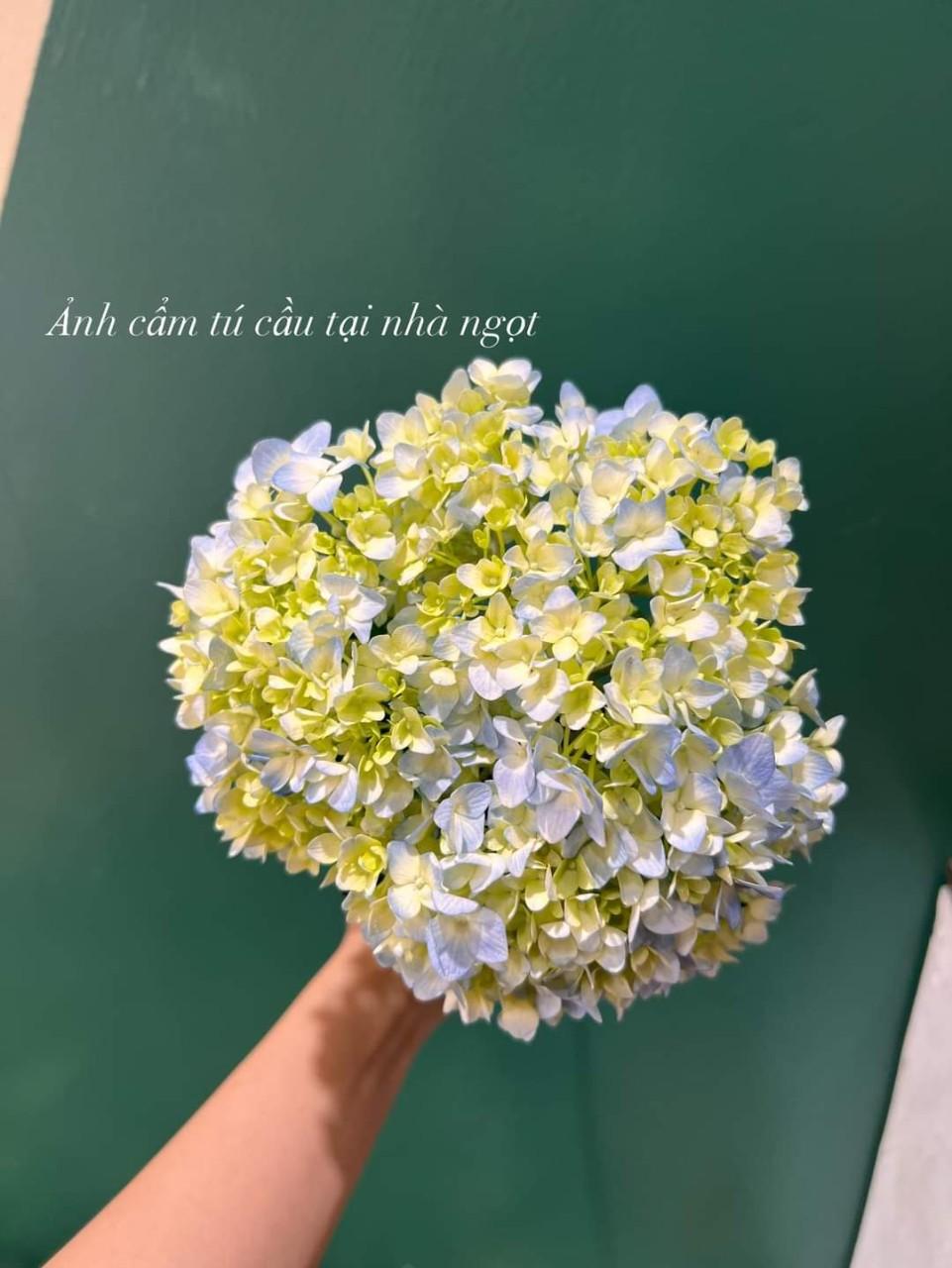 Zalo