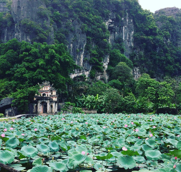 Ninh Bình mùa sen nở